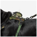 5.11 Mission Ready Waste Pouch - Woodland (57124-938)