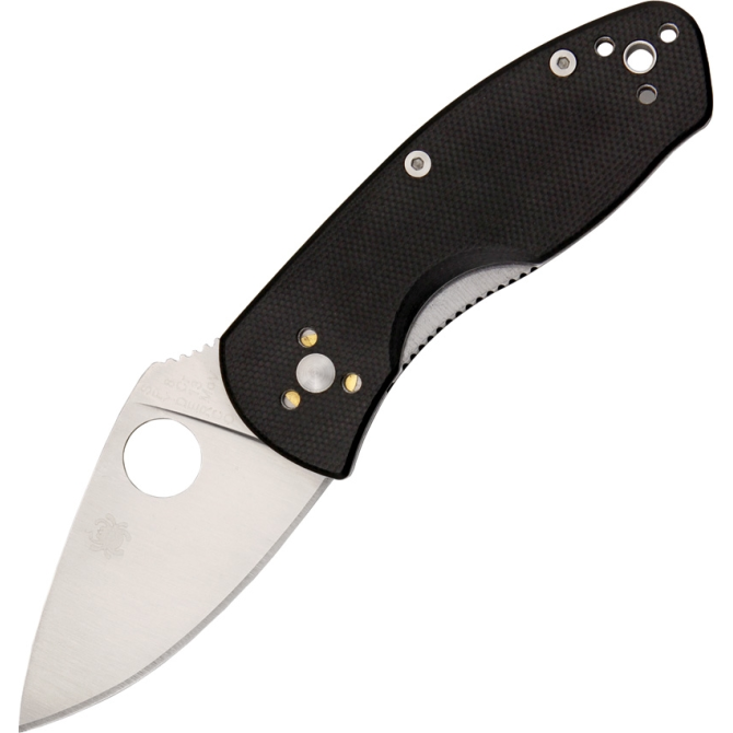 Spyderco Ambitious G10 Plain Edge Knife (C148GP)