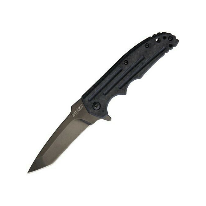 Kershaw Groove Assisted Flipper Knife (1731TX)