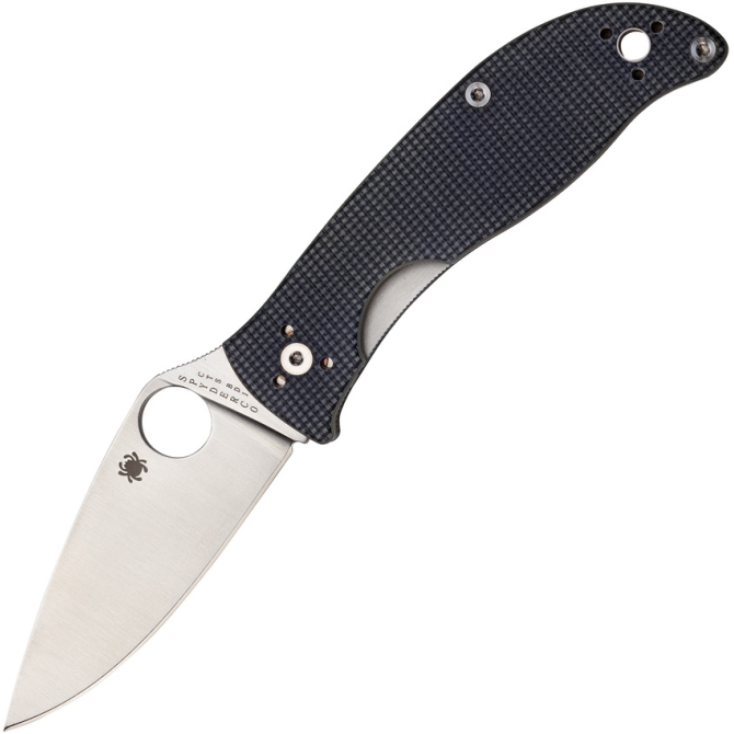 Spyderco Polestar Folding Knife - Black (C220GPGY)