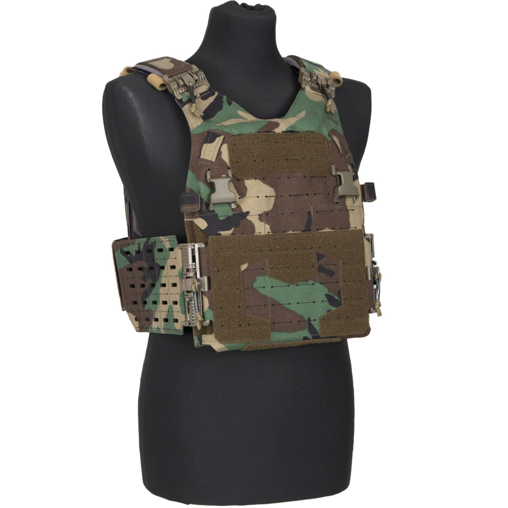 Plate carrier (I know the camo and patches are wrong but I just