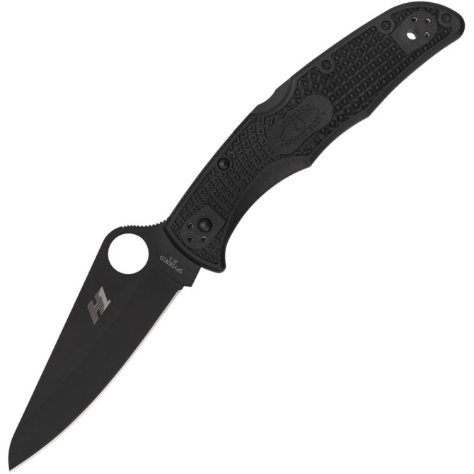 Spyderco Pacific Salt 2 Lockback Black Knife (C91PBBK2)